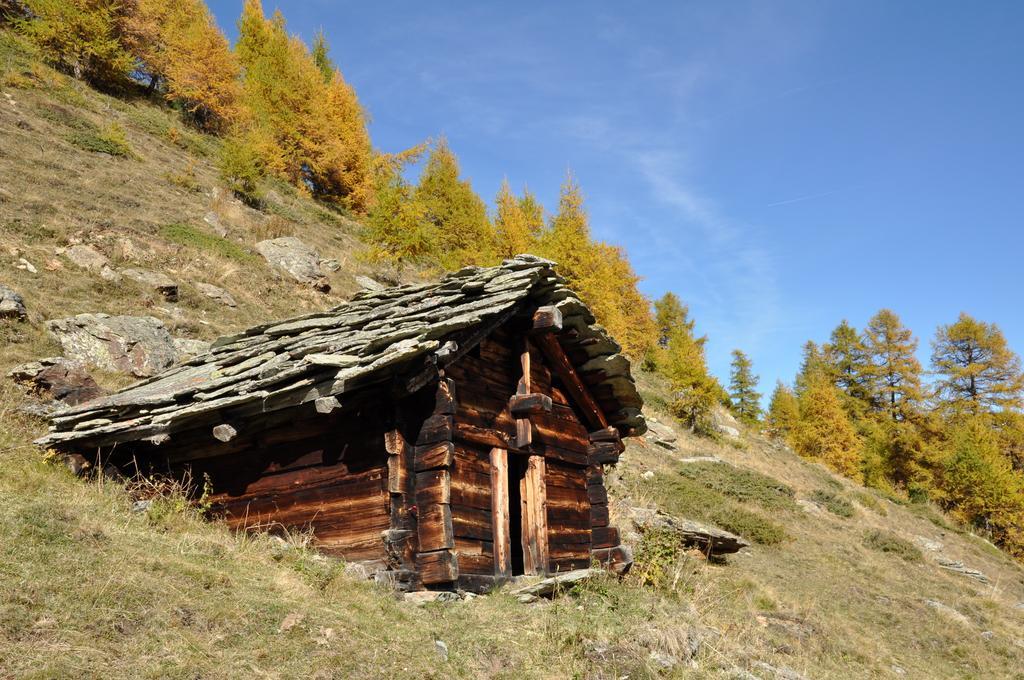 Hotel Hermitage Evolene Bagian luar foto